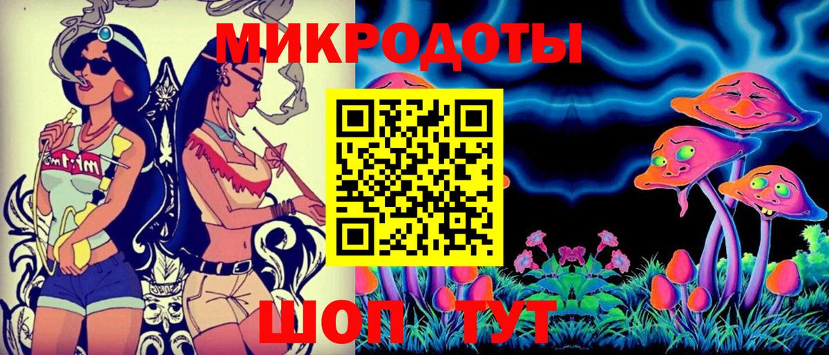 Галлюциногенные грибы Psilocybe Верхняя Салда